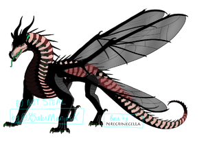 HWforSuper BoiledEggEdited.png