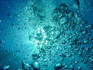 Air-bubbles-diving-underwater-blow-62307.jpeg