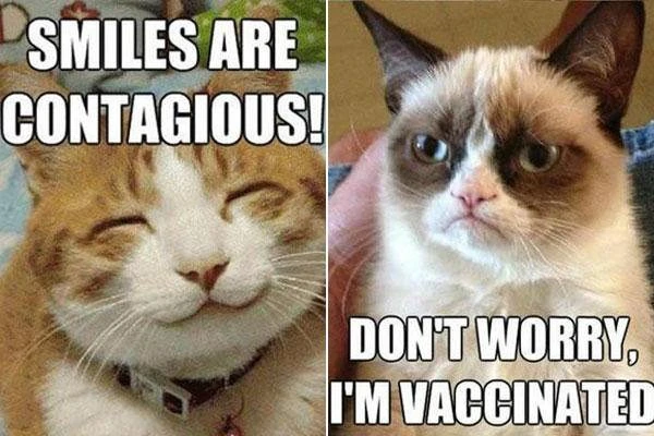 File:9-Best-Grumpy-Cat-Memes-5.jpg