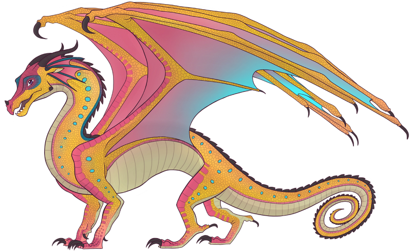 File:Ананас референс.png