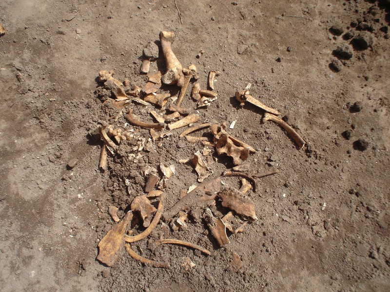 File:April 2010 200.jpg