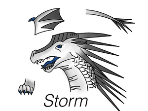 MG's Storm.png