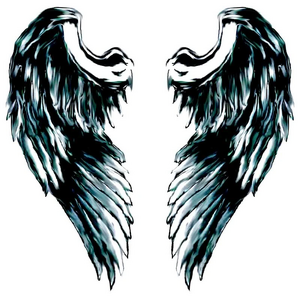 Angel Wingz.jpg