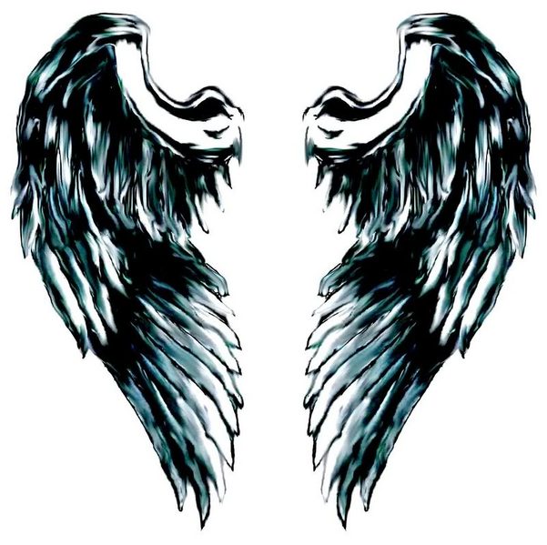 File:Angel Wingz.jpg