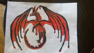 Raptor THe SKyWing NIghtWIng Hybrid.jpg