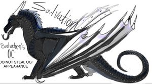 Salvation’s Stuff2.jpeg