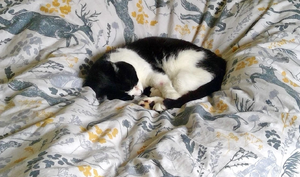 WIN 20200713 13 43 51 Scan.jpg