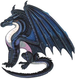 Звездокрыл раскраска.png