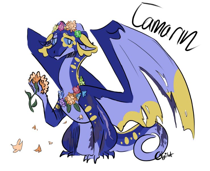 File:8 Tamarin CCRR.png