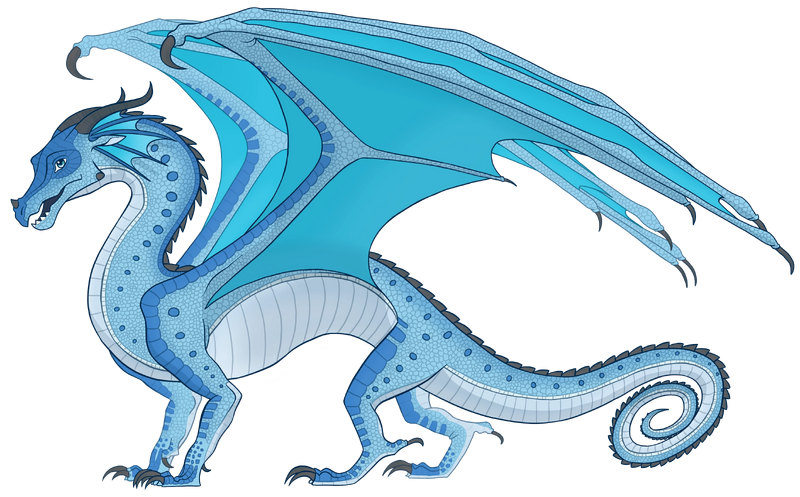 File:Жаб реф.png