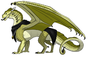 Референс Куфии.png