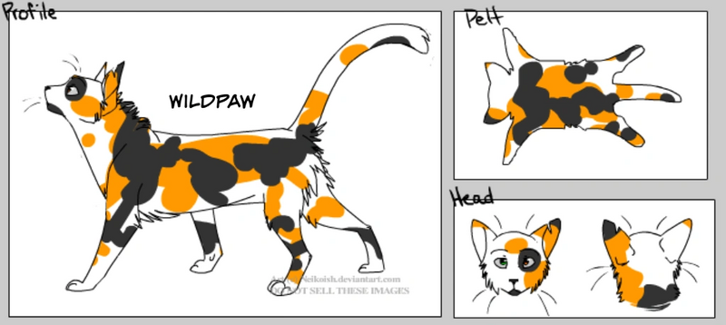 File:Wildpaw 4 (Fandom).png