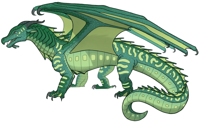 File:Референс улитки.png