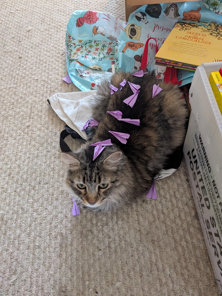 File:PXL 20260130 165345808.jpg