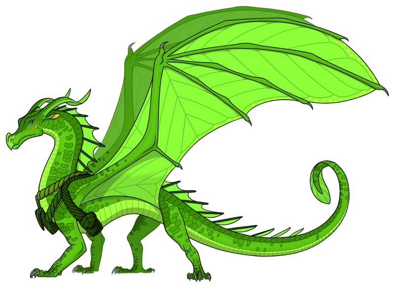 File:Fern. Not mine.png