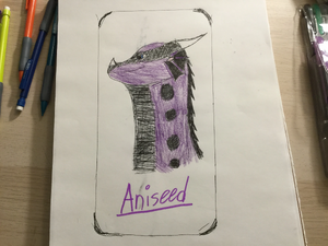 Aniseed .jpg