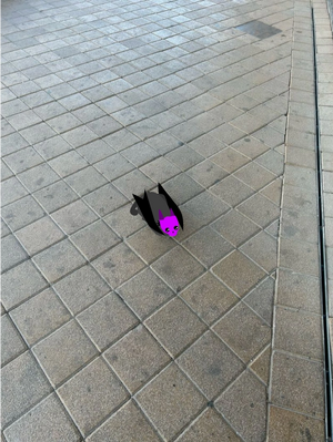 Yet another image of smol Noot noot.png