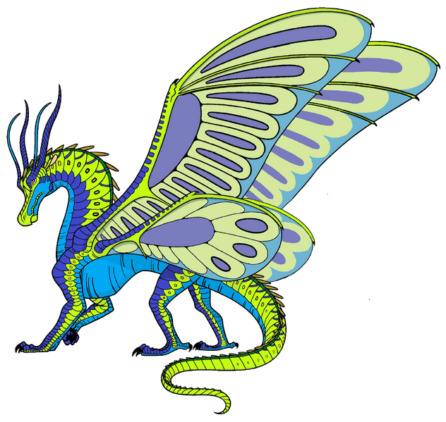 File:Another random silkwing.png
