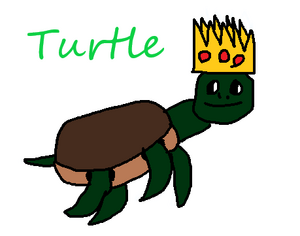Pfp for Turtle.png