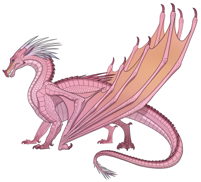 File:Aurora ref .png