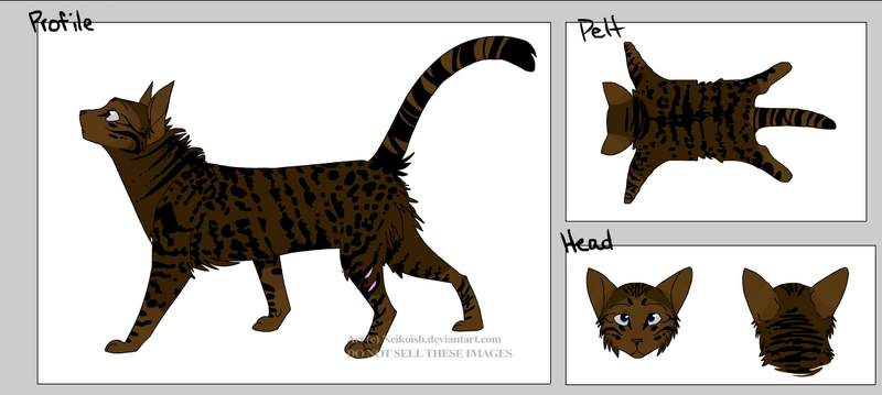 File:Annotation 2019-11-14 185828.png