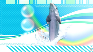 Maximus- Hakita's Dolphin.png