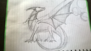 Wp 20170501 19 44 44 pro.jpg