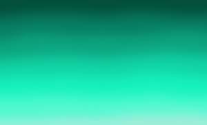 2020 01 26 Kleki (5).png