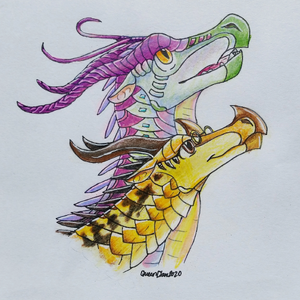 IMG 20200518 152528 871.jpg