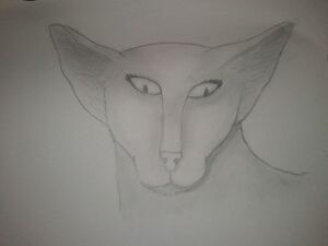 2019-01-08 13.30.11.jpg