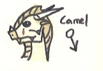 File:Camel.png