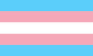 1280px-Transgender Pride flag.svg.png