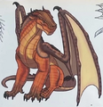 Clay on the back cover of “The Official Wings Of Fire How To Draw”, art by Brianna Walsh