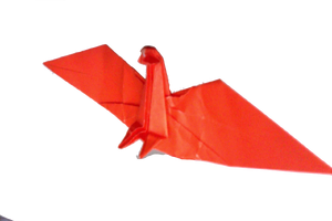 Photo on 10-1-13 at 5.21 PM copy.png