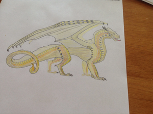 Sahara the Sandwing.jpg