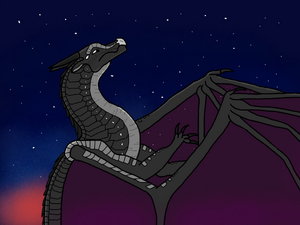 Moo watcher by Alaska.jpeg