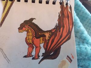 2019-08-19 09.03.30.jpg