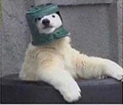 File:Annotation 2020-08-10 202113.png