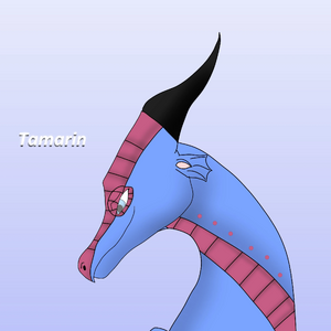 Tamarin by Warriordragon876.jpg