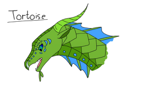Tortoise Ref.png