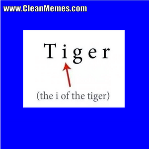 08tiger.png