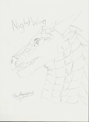 NightWing by VoidLegend.png