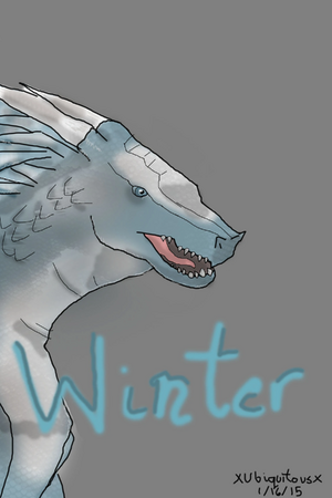 Photoshop Winter.jpg