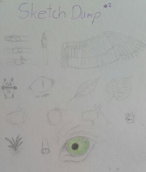 2020-04-09 17.20.31.jpg