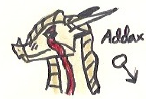 File:Addax.png