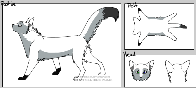 File:Silverpaw (Future name unknown).png