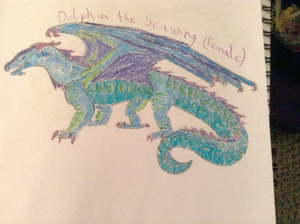 Dolphin the Seawing.jpg