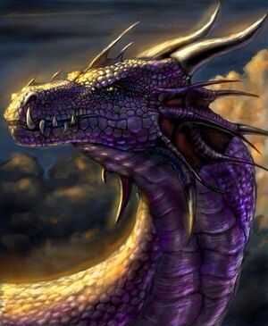 11218928 454933497990774 2503314269450094554 n.jpg