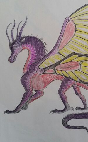 20180304 121009-1.jpg