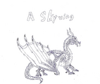 A SkyWing drawn by Olympia-the-Skywing